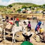 2,620 displaced people from the states of South North and Central Darfur