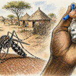 Worsening outbreaks in Sudan despite partial decline as malaria resurges